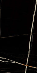 Black Beauty 60 x 120 CM In-Door High Gloss  Surface Porcelain Tiles