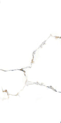 Calacatta Candy 60 x 120 CM In-Door Polished Surface Porcelain Tiles